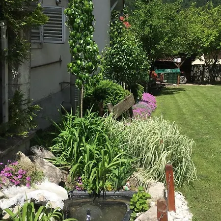Pensiunea Panorama Bed & Breakfast *