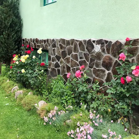 Bed & Breakfast Pensiunea Panorama *
