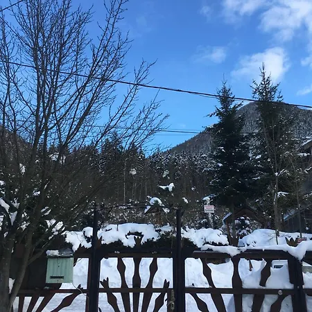 Pensiunea Panorama Bed & Breakfast